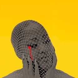 Please Don't Cry album cover
