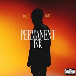 Permanent Ink album cover