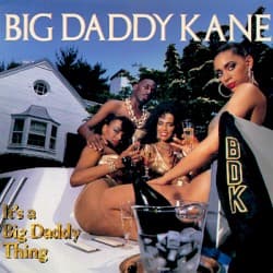 It's a Big Daddy Thing album cover