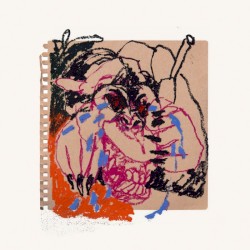 Beware of the Monkey album cover