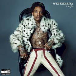 O.N.I.F.C. album cover