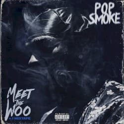 Meet the Woo album cover