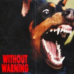 Without Warning album cover