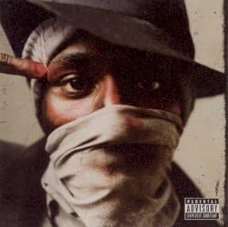 The New Danger album cover