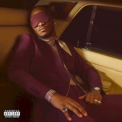 I Never Liked You album cover