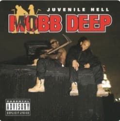 Juvenile Hell album cover