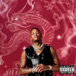 Stay Dangerous album cover