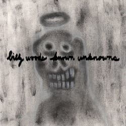 Known Unknowns album cover