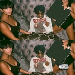 Playboi Carti album cover