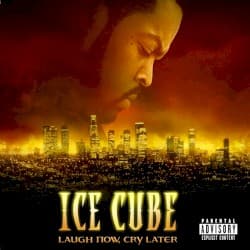 Laugh Now, Cry Later album cover