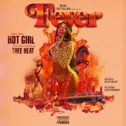 Fever album cover