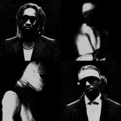 We Still Don't Trust You album cover