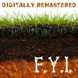 F.Y.I. album cover